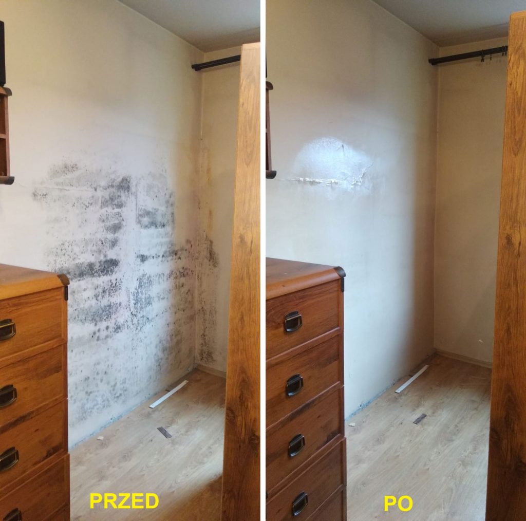 odgrzybianie ścian przed po